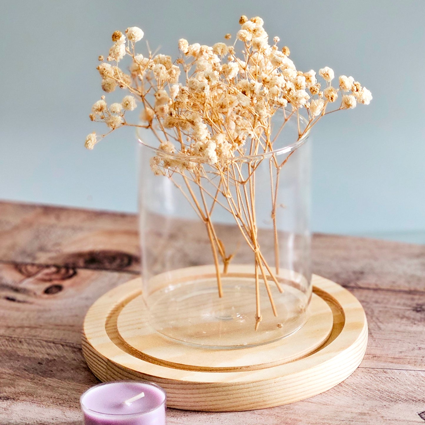 Preserved Colorful Baby's Breath | Gypsophila comes in 8 colors