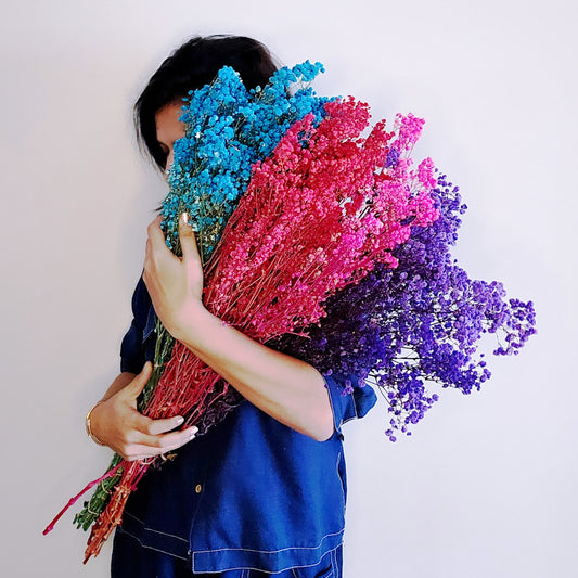 Preserved Colorful Baby's Breath | Gypsophila comes in 8 colors