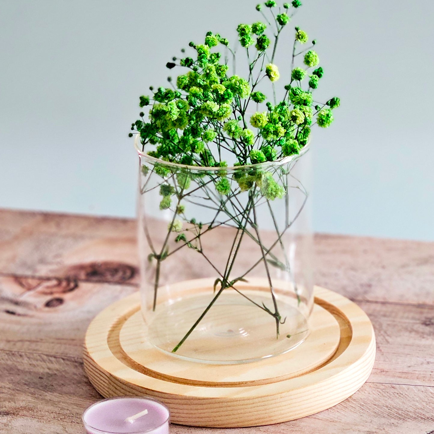 Preserved Colorful Baby's Breath | Gypsophila comes in 8 colors