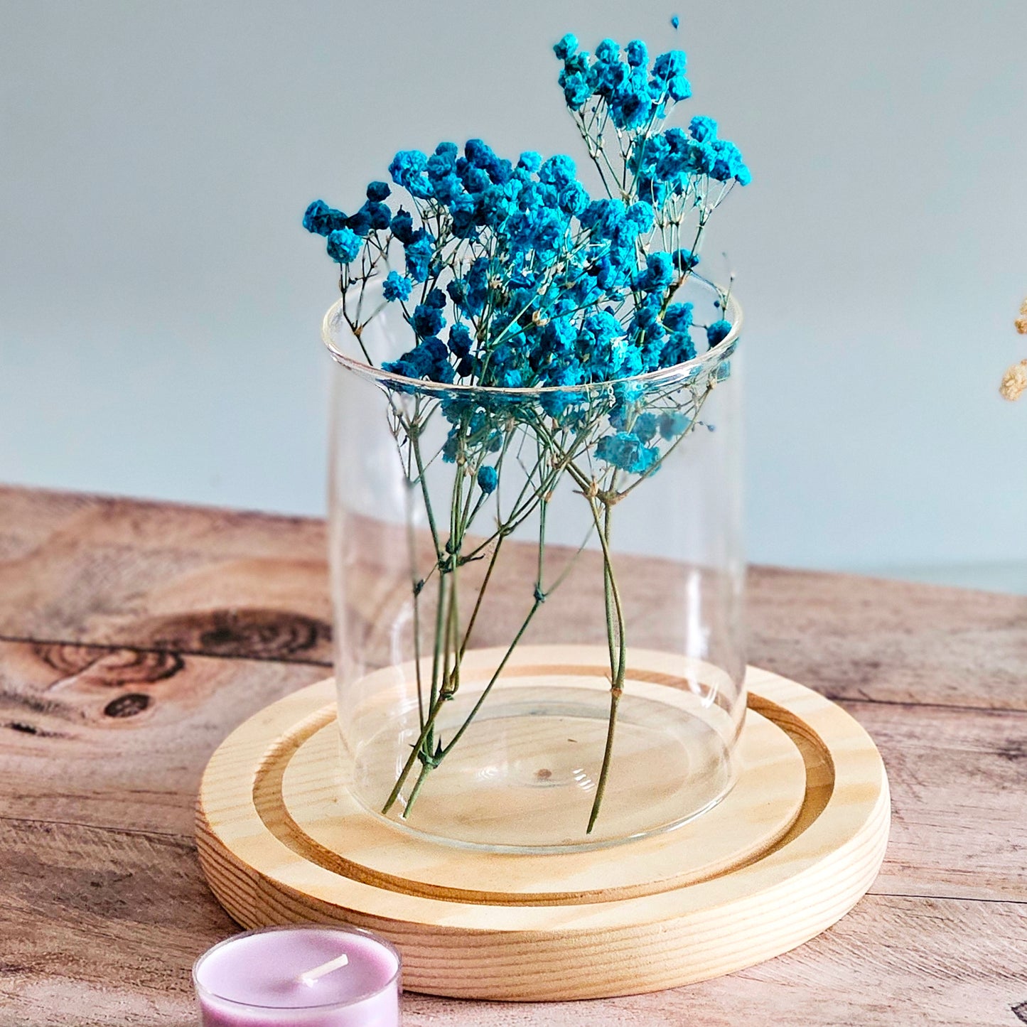 Preserved Colorful Baby's Breath | Gypsophila comes in 8 colors