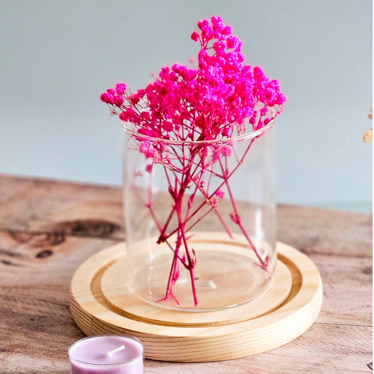 Preserved Colorful Baby's Breath | Gypsophila comes in 8 colors