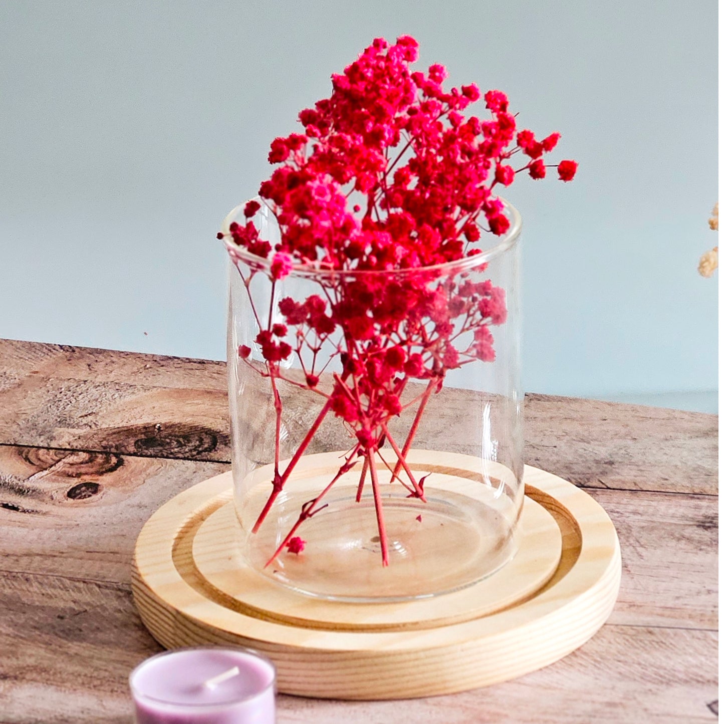 Preserved Colorful Baby's Breath | Gypsophila comes in 8 colors