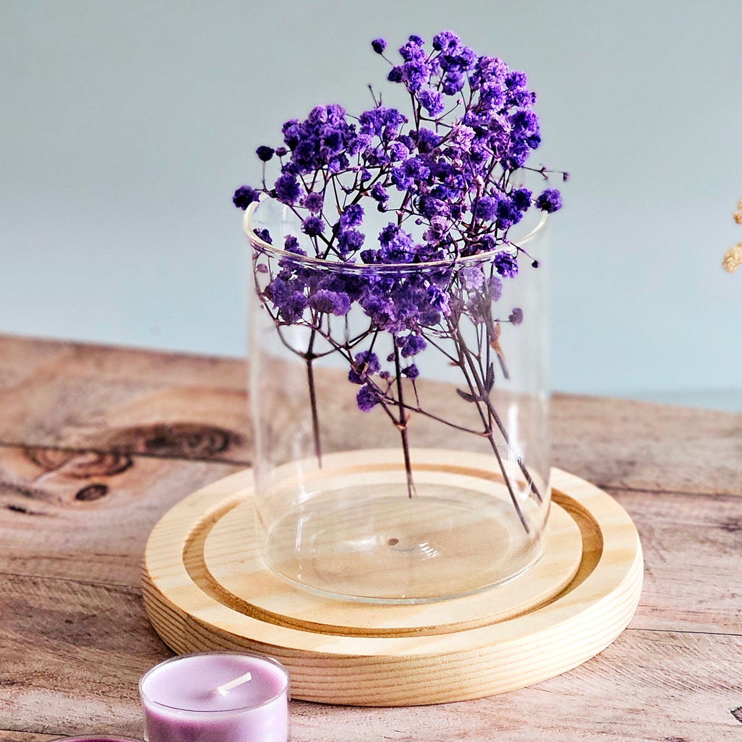 Preserved Colorful Baby's Breath | Gypsophila comes in 8 colors